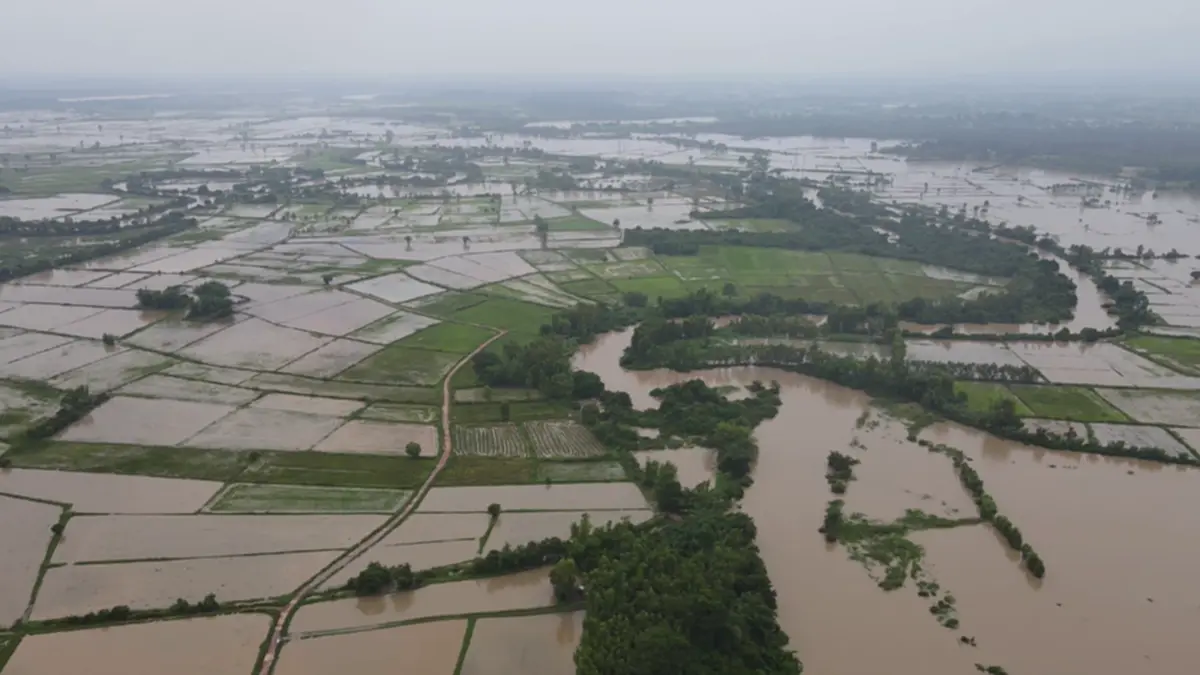 ปักธงแดงลำน้ำยังวิกฤติ! ท่วมเกษตรยโสธร เตือนขนของขึ้นที่สูง
