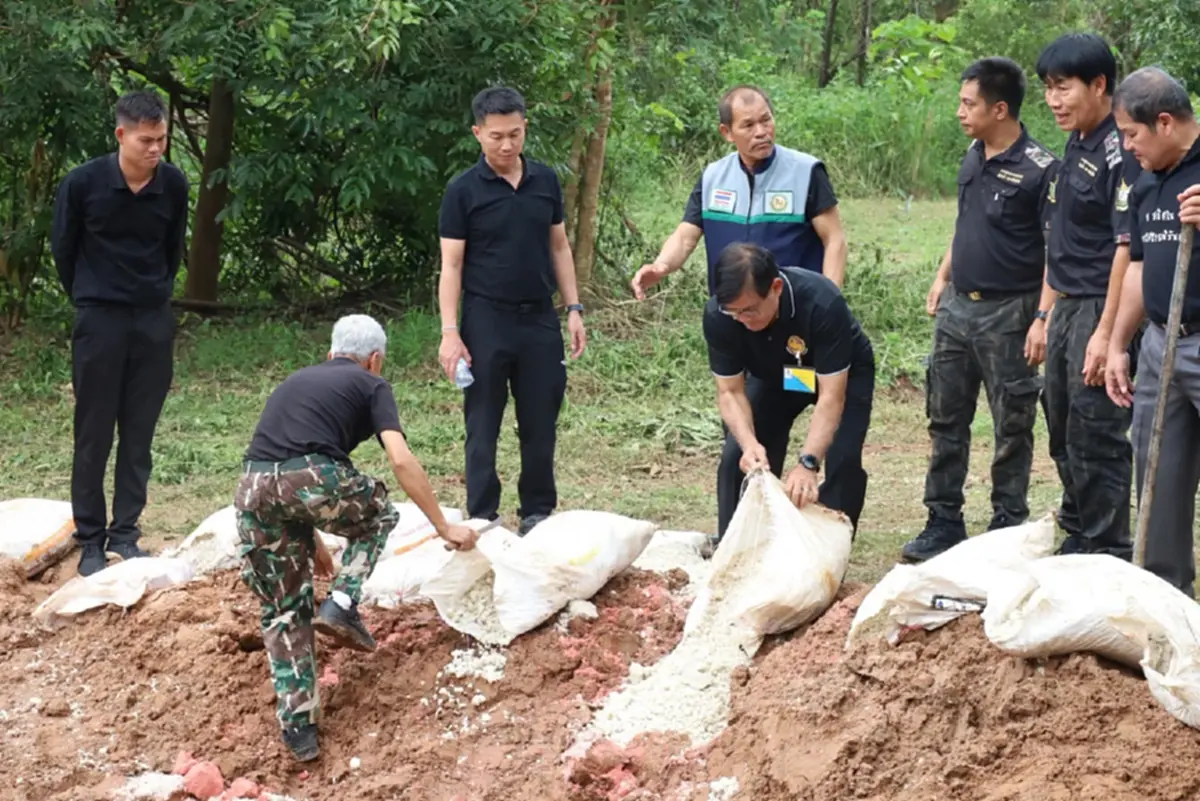 ผู้ว่าฯ เลยปลื้ม! ช้างป่าแห่กินโป่งเทียมภูหลวง คืนสมบูรณ์สู่ป่า