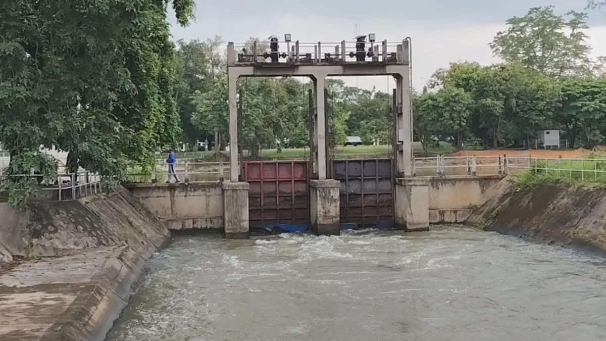 เขื่อนพิมายยกประตูคลองฝั่งซ้าย ระบายน้ำช่วยเกษตรกร 4 ตำบล
