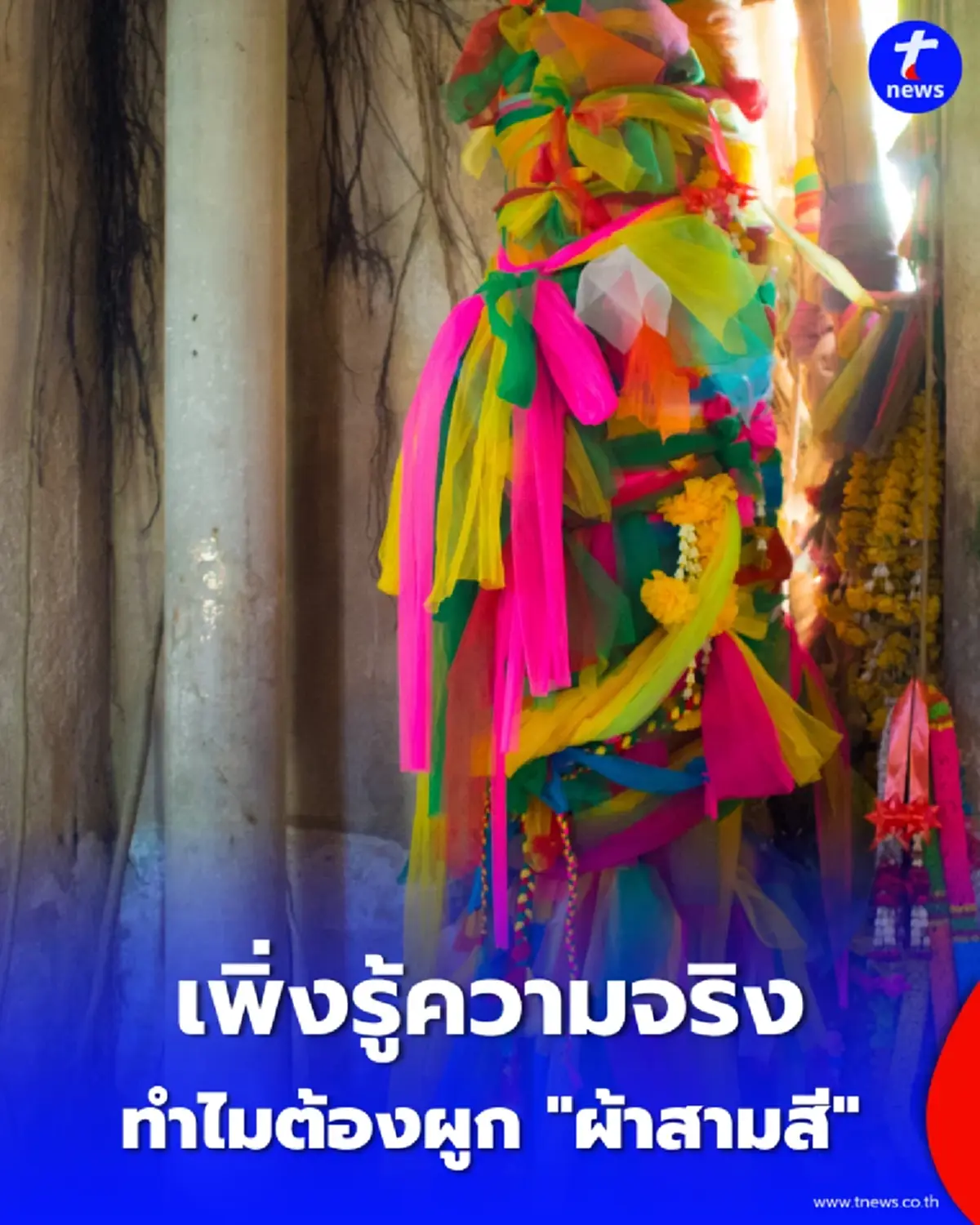 ทำไมต้นไม้ใหญ่ต้องผูก "ผ้าสามสี" เผยเหตุผลโบราณที่หลายคนเข้าใจผิดมาตลอด