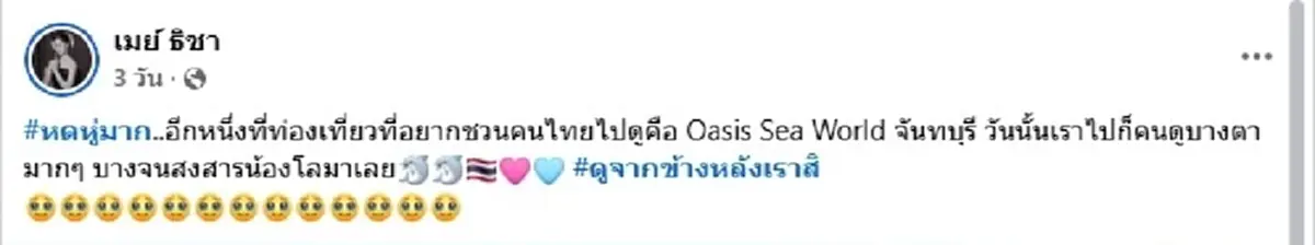 วิกฤตนักท่องเที่ยวบางตา คนดูแทบไม่มีแต่โลมายังโชว์เต็มที่