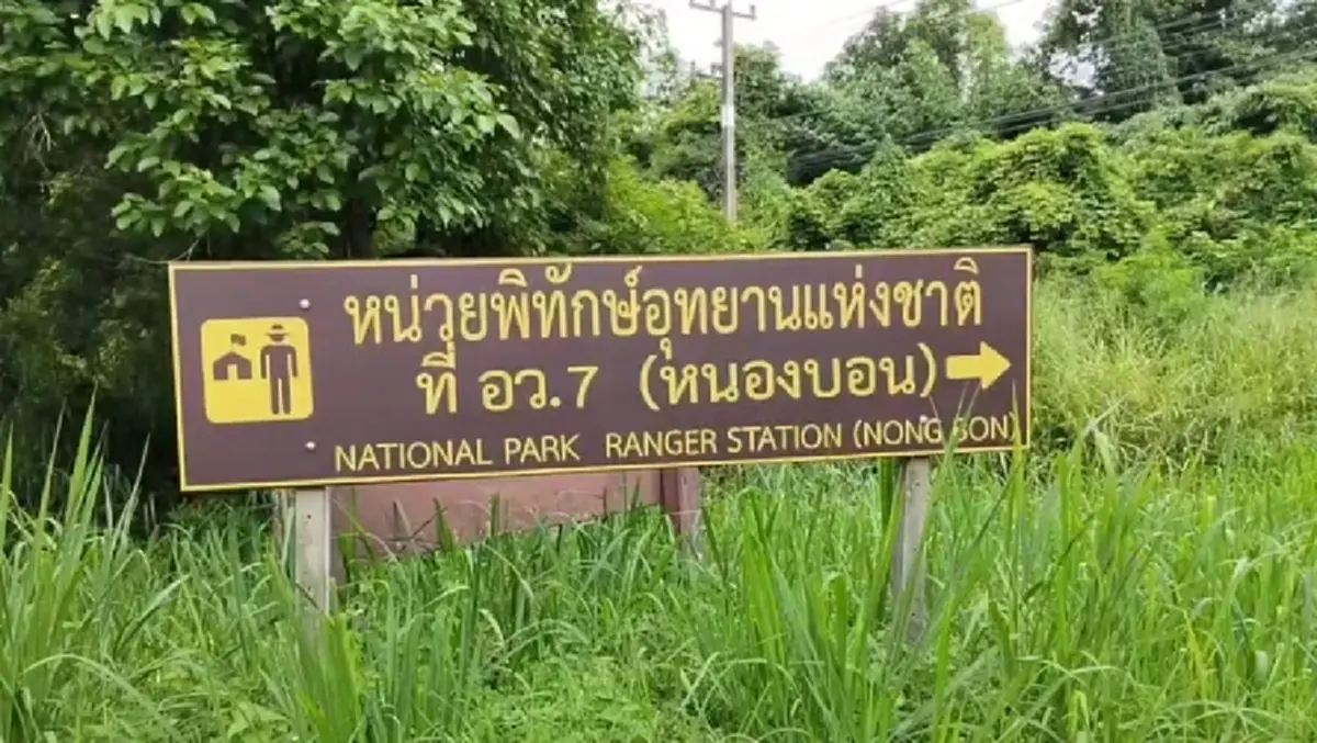 ชาวบ้านผวา! เจอรอยเท้าเสือโคร่งแม่ลูกใกล้ชุมชนไทรโยค