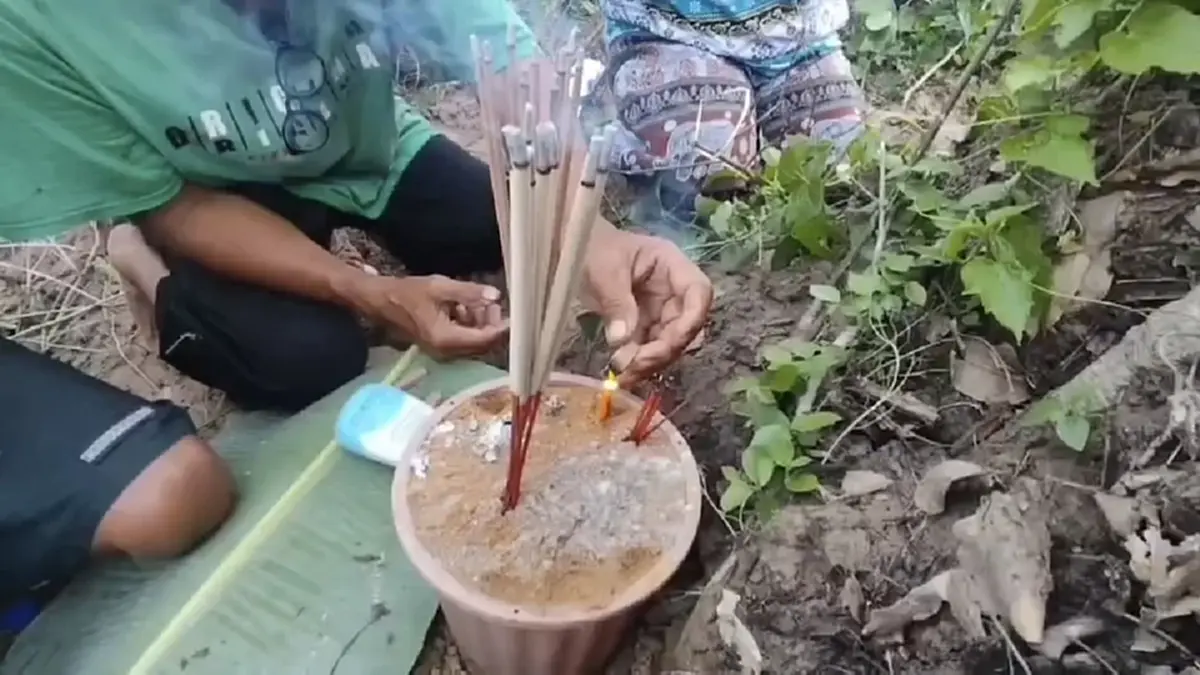 ฮือฮาทั้งหมู่บ้าน! ต้นลูกหยียักษ์ล้มแล้วลุกเอง ชาวบ้านแห่ขอเลข