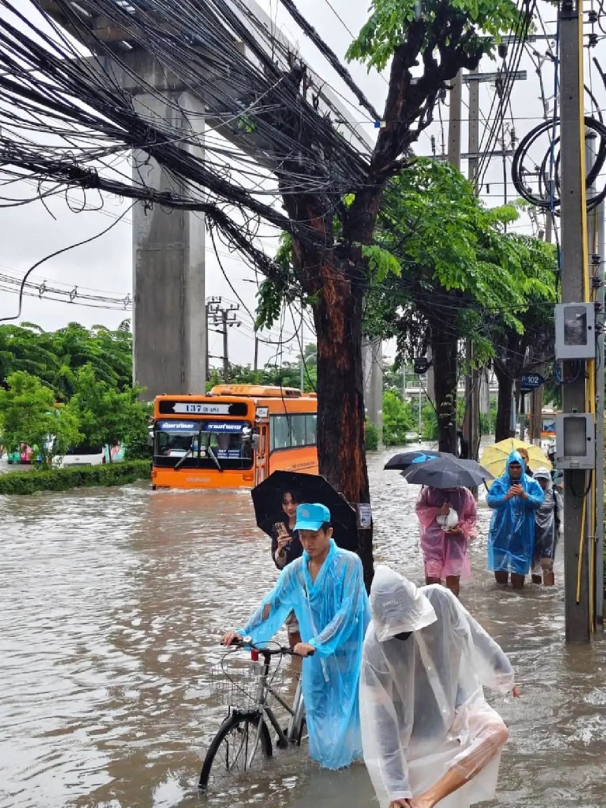 คนกรุงฯต้องรอด แห่ตุนเสบียง สู้ฝนถล่มหนัก น้ำท่วมอ่วม