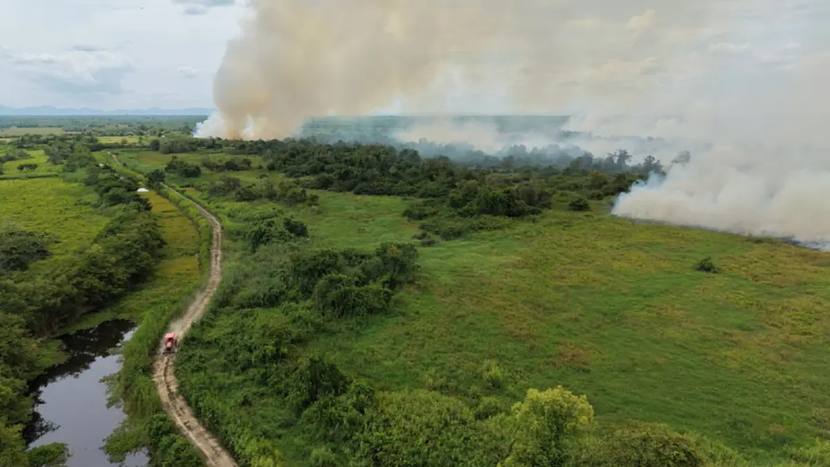 ไฟป่าพรุทะเลน้อยปะทุลามสวนปาล์มวอด 200 ไร่ เร่งสูบน้ำสู้