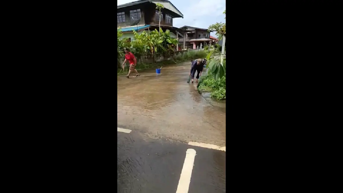 น้ำท่วมถนนสุรินทร์! ปลานับร้อยข้ามฝั่ง ชาวบ้านดักจับแบ่งกันกิน