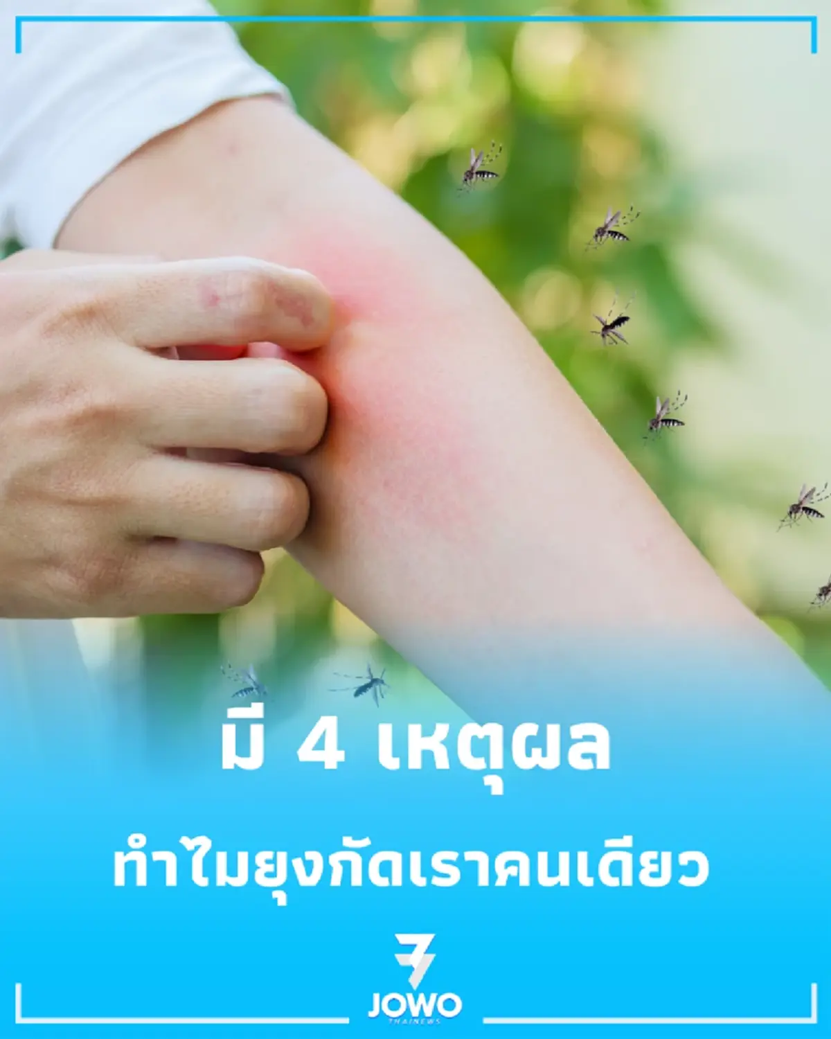 เผย 4 ปัจจัยที่ทำให้คุณกลายเป็น "ตู้เสบียงเคลื่อนที่" ของยุง
