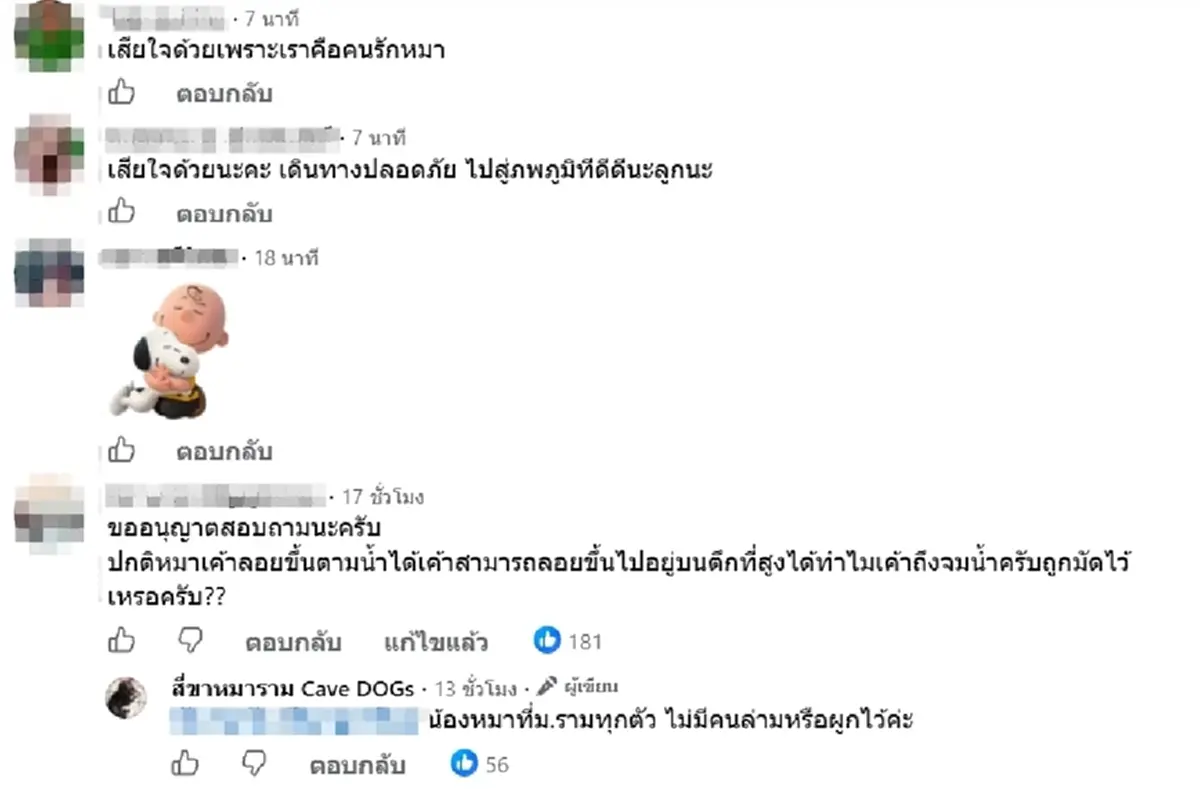 เพจดังแจ้งข่าวเศร้า น้องหมูแดง กลับดาวแล้ว หลังน้ำท่วม ม.ราม หนัก