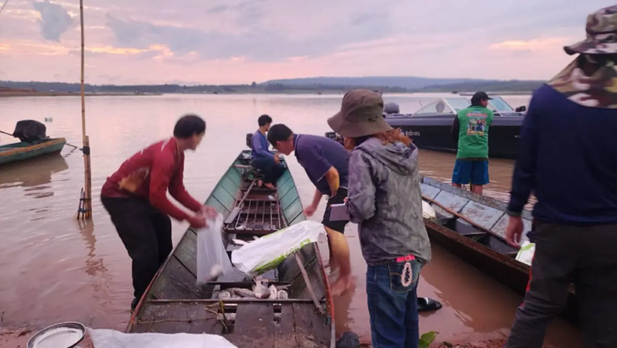 กาฬสินธุ์ตรวจเข้มเขื่อนลำปาว! ยังไม่พบปลาหมอคางดำระบาด