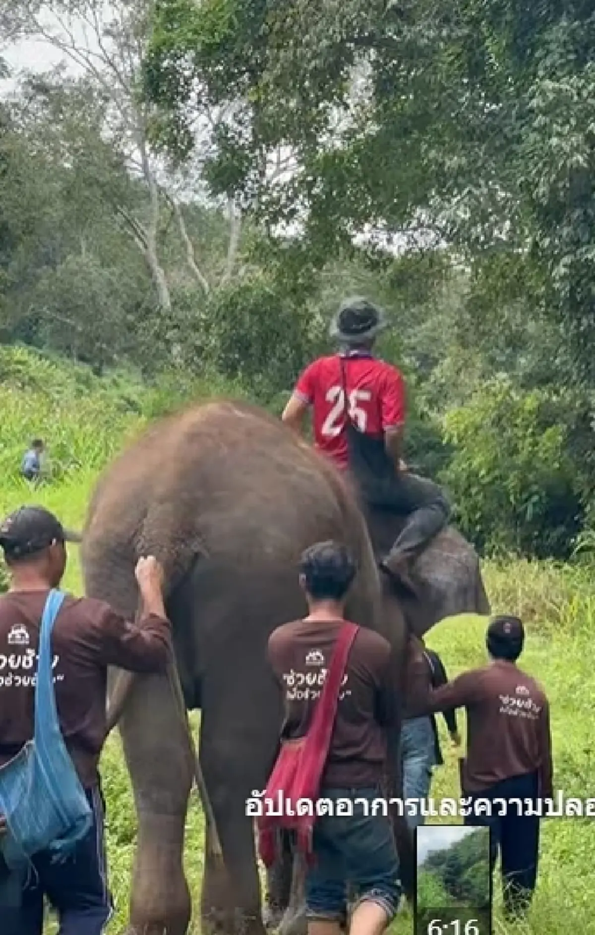 โล่งอก! "พังแอ้ม" ช้างพิการขาหน้า ถูกน้ำป่าซัด ล่าสุดช่วยขึ้นฝั่งได้แล้ว