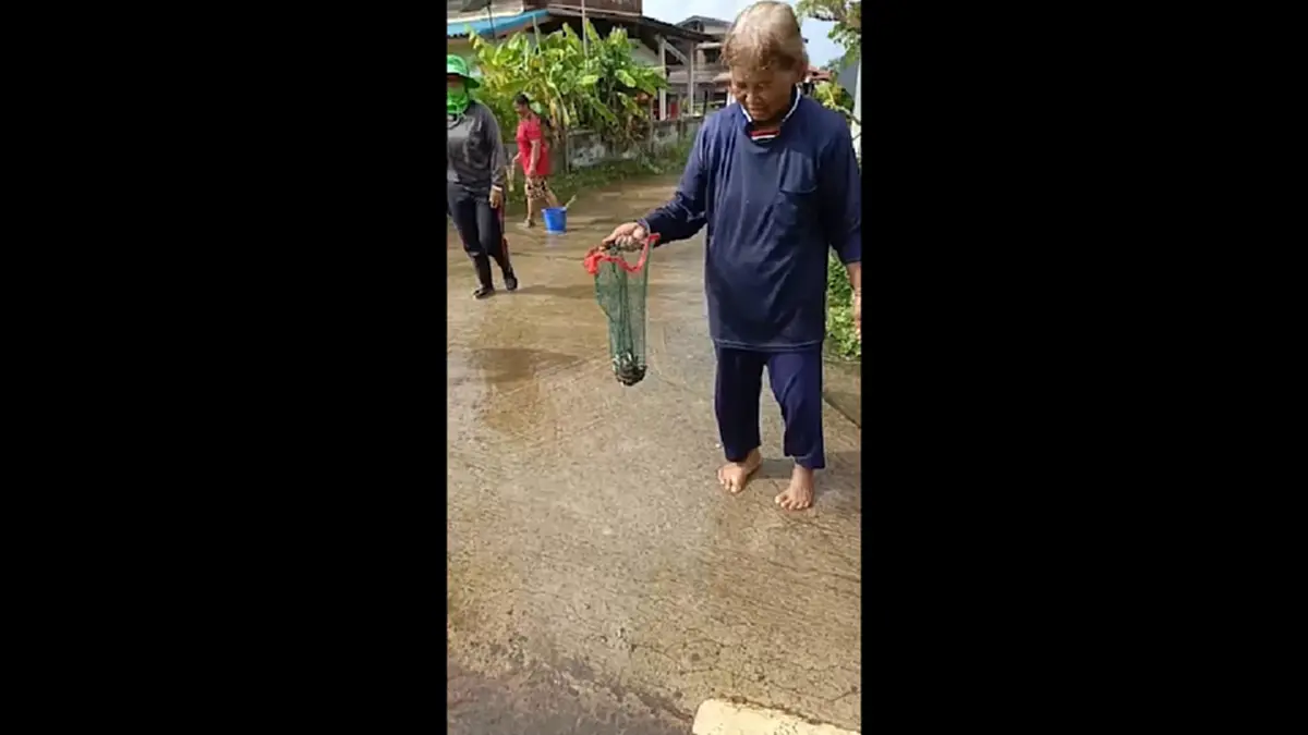 น้ำท่วมถนนสุรินทร์! ปลานับร้อยข้ามฝั่ง ชาวบ้านดักจับแบ่งกันกิน