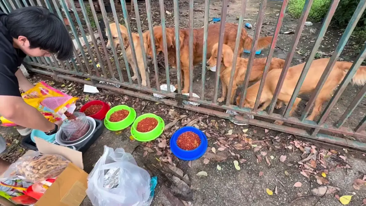 ที่มา/ภาพ Facebook : ส้ม ส้ม'มมม