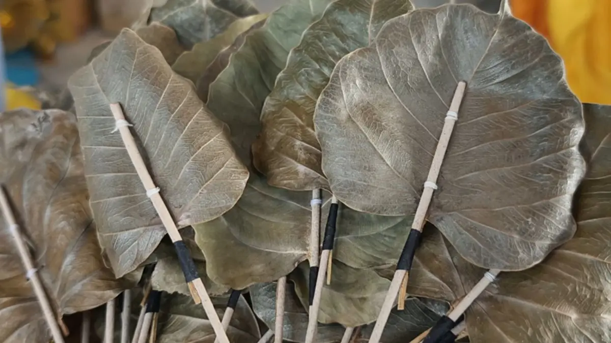 สุดซึ้ง! งานศพเรียบง่าย ใช้ใบโพธิ์แห้งแทนดอกไม้จันทน์