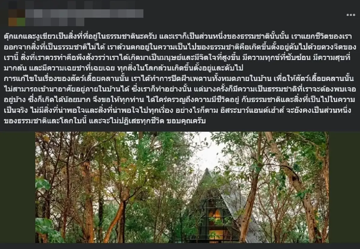 ขนลุกทุกเส้น คลิป "ตุ๊กแก ปะทะ งู" ในที่พักดัง ล่าสุด แจงชัดแล้ว 