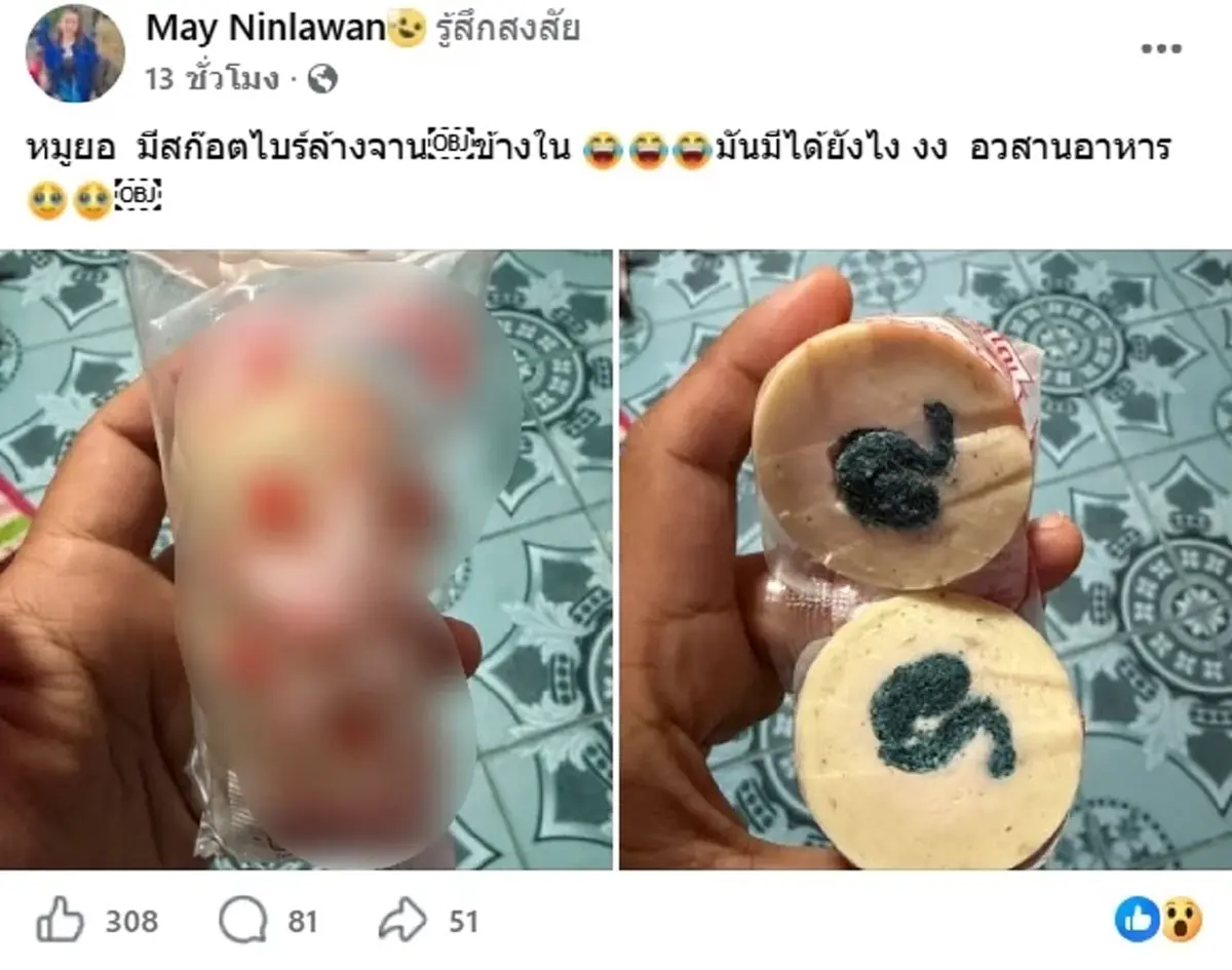 อวสานมื้ออร่อย สาวผ่าหมูยอเจอของแถมประหลาด สงสัยเข้าไปยังไง