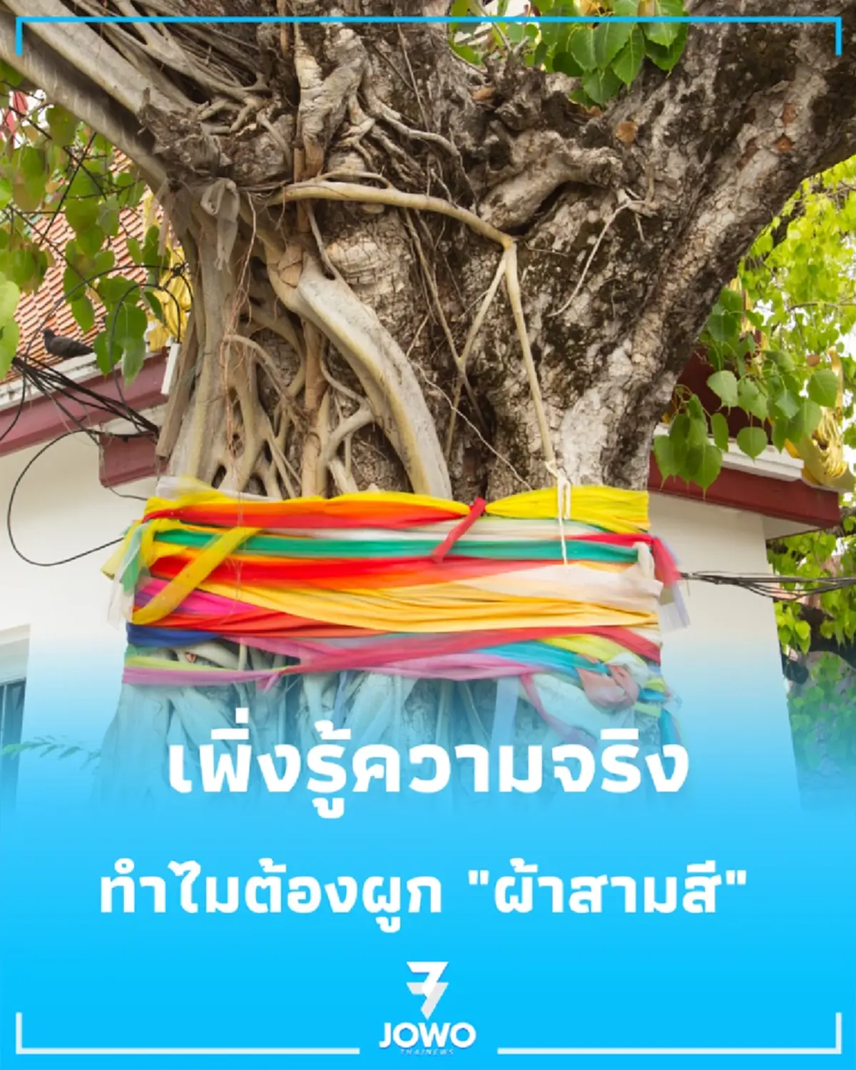 ผ้าสามสี เผยเหตุผลโบราณที่หลายคนเข้าใจผิดมาตลอด
