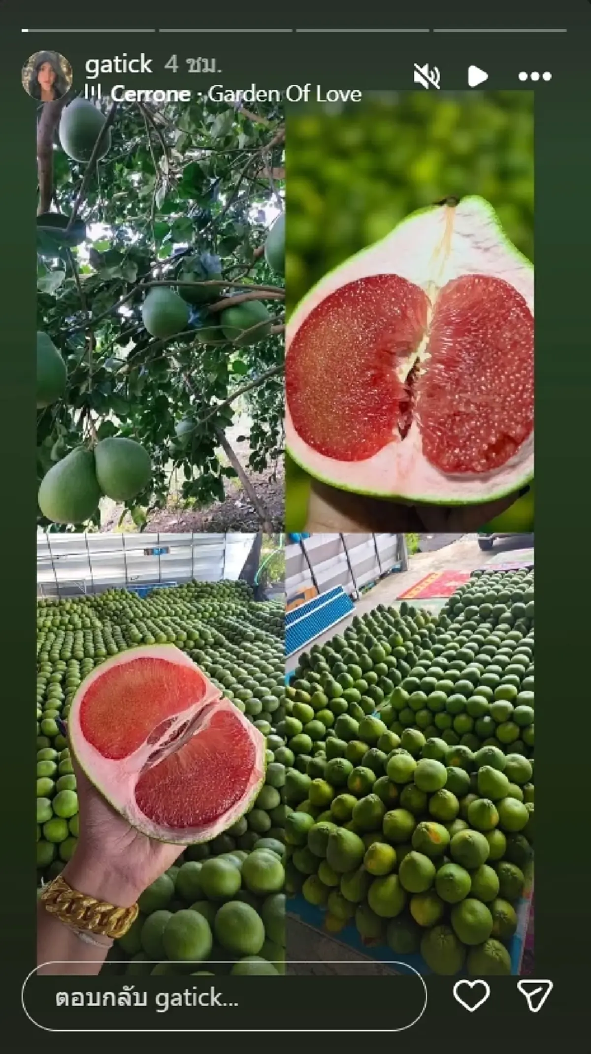 ส่องไอจี กระติก เคลื่อนไหว หลัง ขวัญ เตรียมเป็นพยานคดีแตงโม