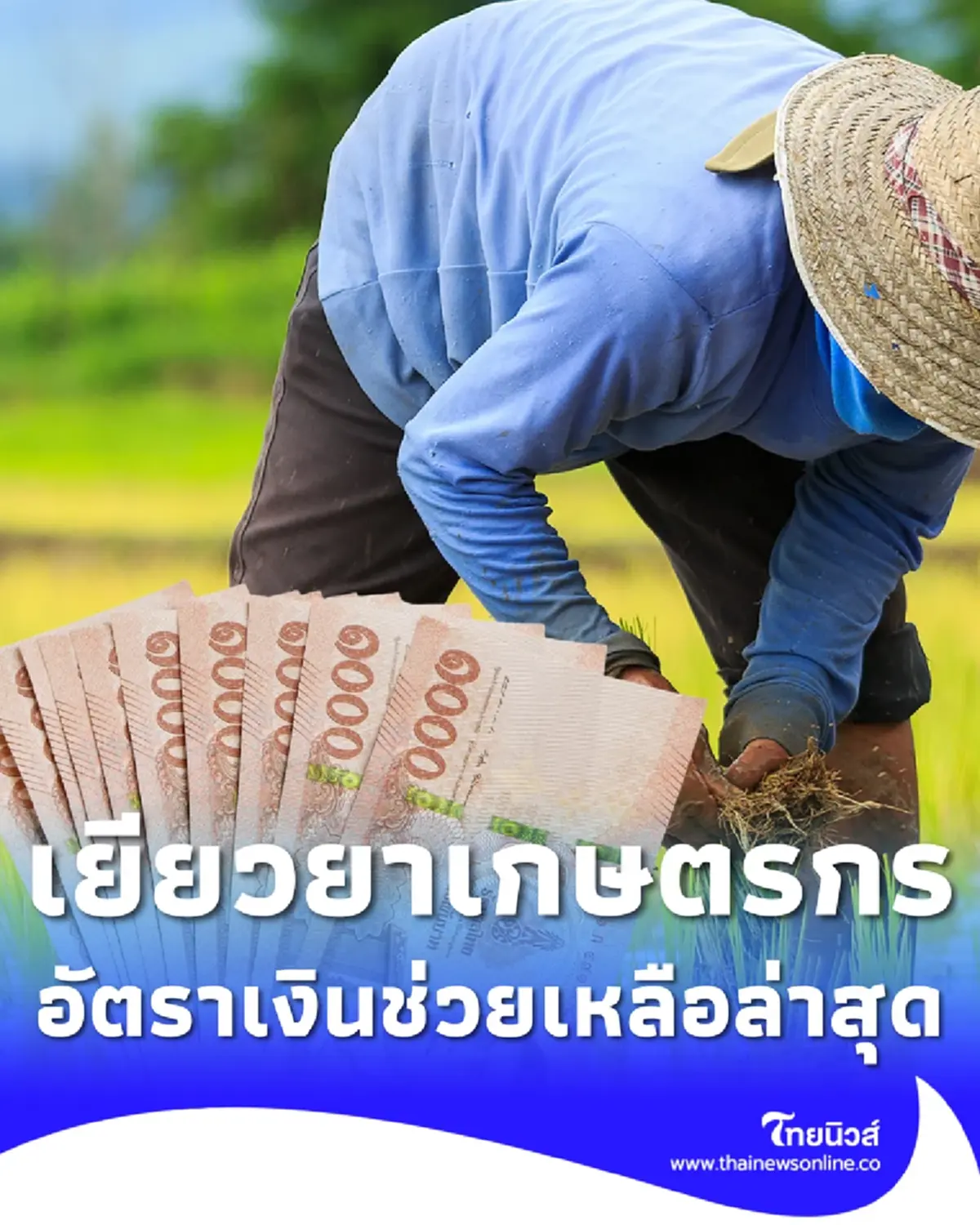เงินเยียวยาชาวไร่ชาวนาเช็กอัตราเงินล่าสุด ขั้นตอนขอรับความช่วยเหลือ