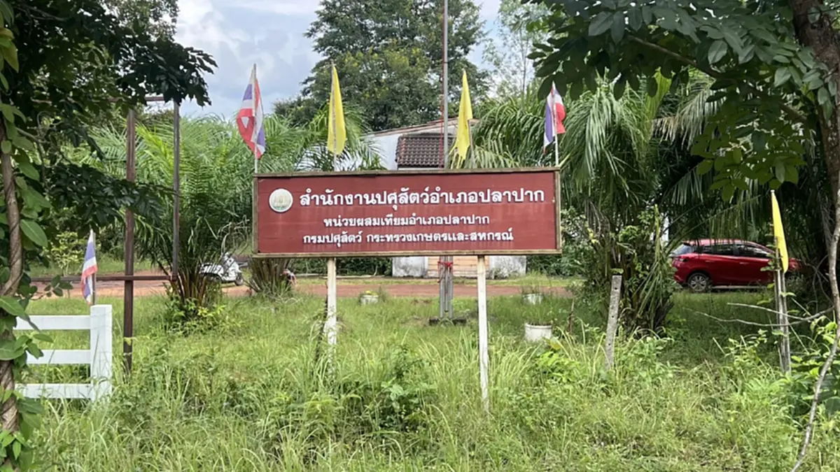 3 เดือนหลังถูกกัด! หญิงวัย 43 เสียชีวิต ผลตรวจยืนยันชัด