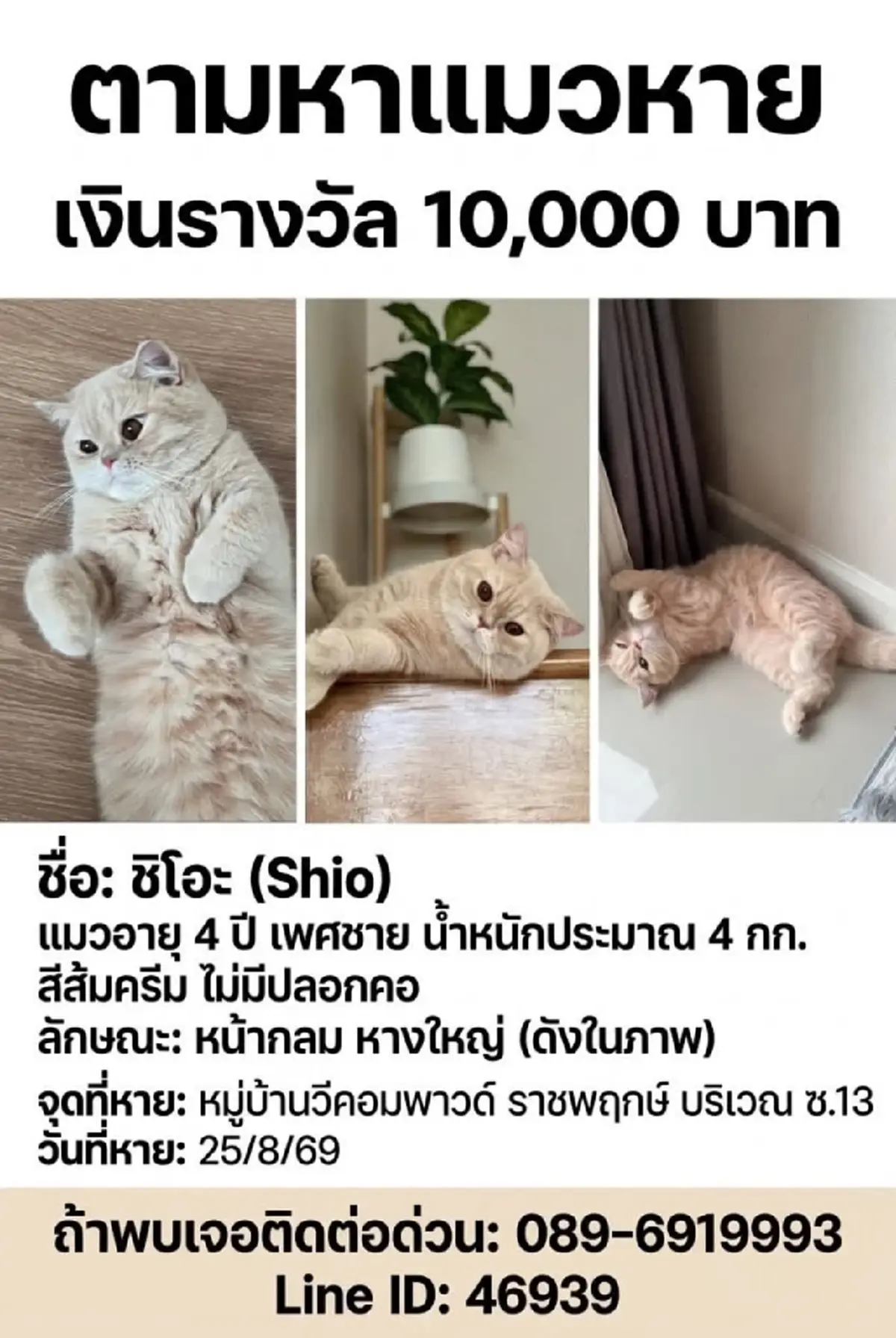 หัวอกแม่แทบสลาย! วอนช่วยตามหา "น้องชิโอะ" ป่วยโรคหัวใจหลุดหาย