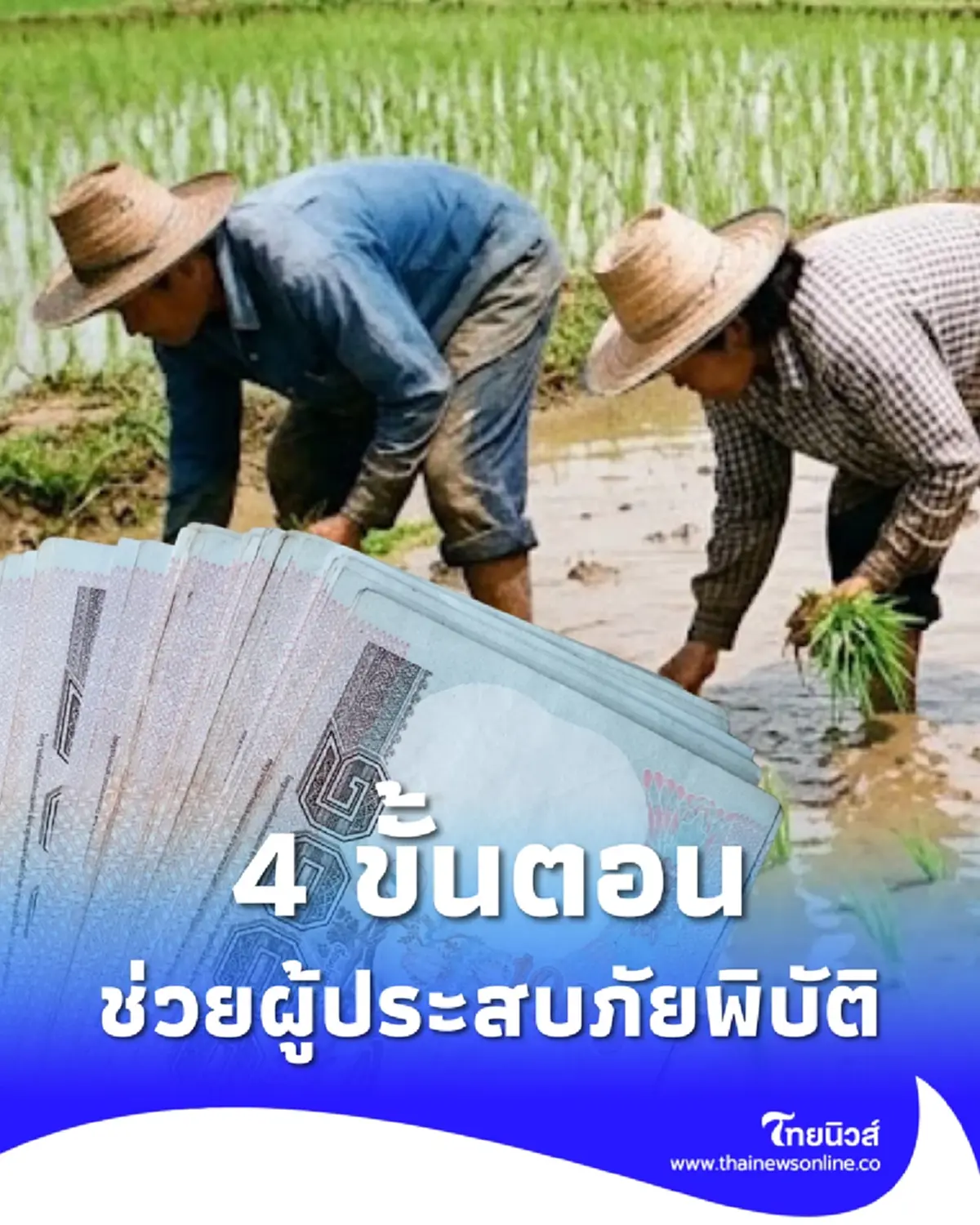 เงินเยียวยาเกษตรกร เปิด 4 ขั้นตอนการให้ความช่วยเหลือ