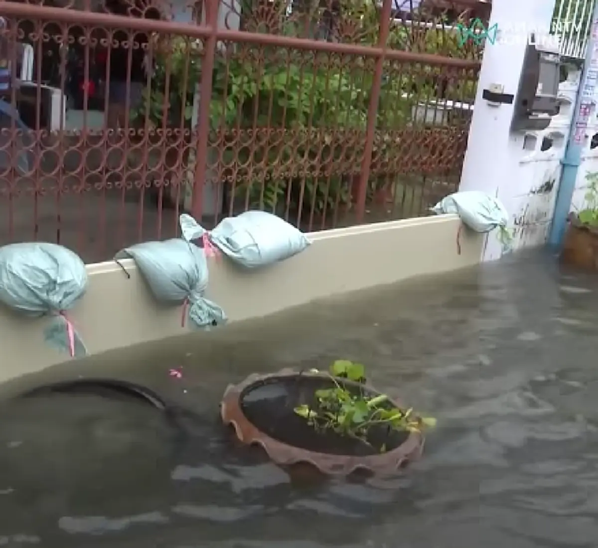เจ้าของบ้านแชร์ไอเดีย วิธีป้องกันน้ำท่วม แม้ถูกน้ำล้อมรอบ