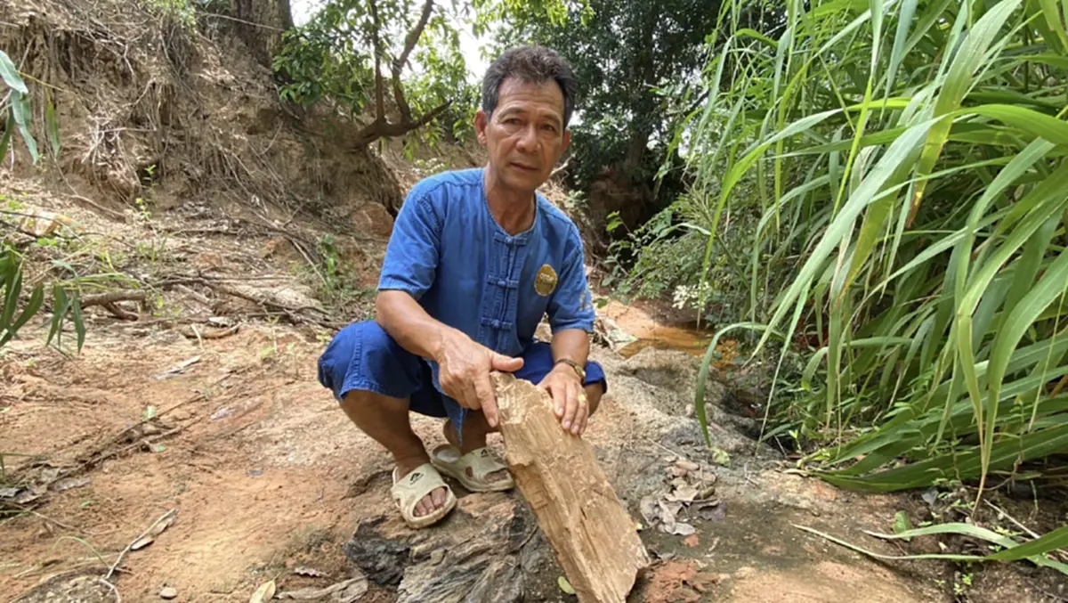 ชาวบ้านพบ ซากไม้กลายเป็นหิน มหัศจรรย์กลางไร่มันโคราช