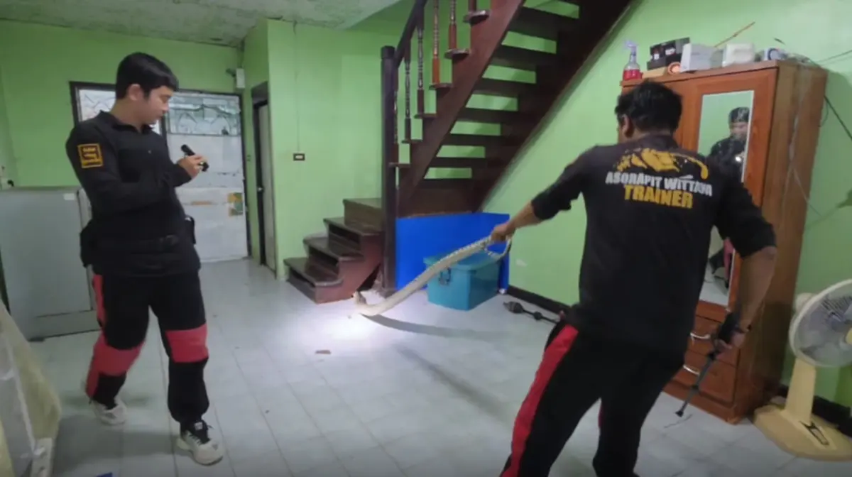 ส่องเลขที่บ้าน งูเหลือมยักษ์ 4 เมตร ร่วงทะลุฝ้าเพดาน ลุ้นจับระทึก