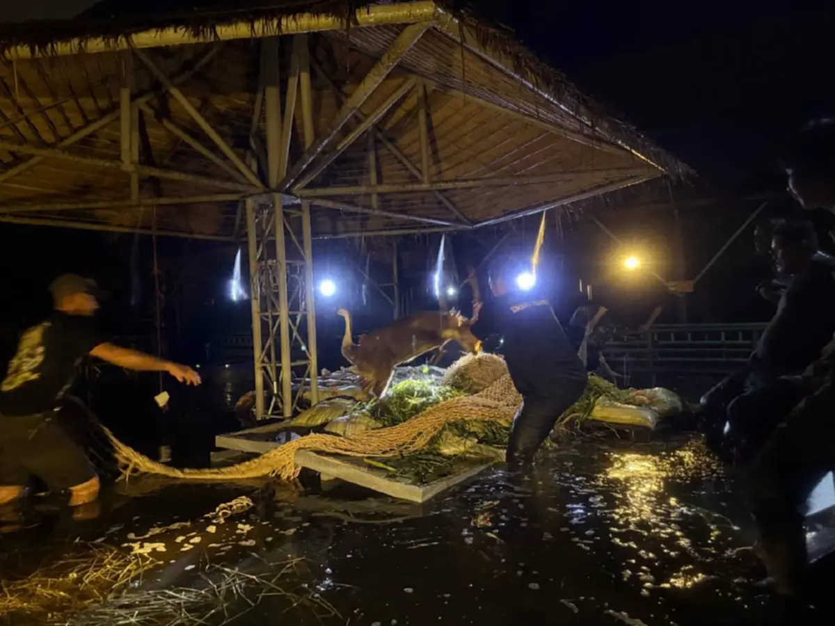 นาทีวิกฤต น้ำท่วมสวนสยาม กรมอุทยานฯ ช่วยเนื้อทรายรอด 10 ดับ 6