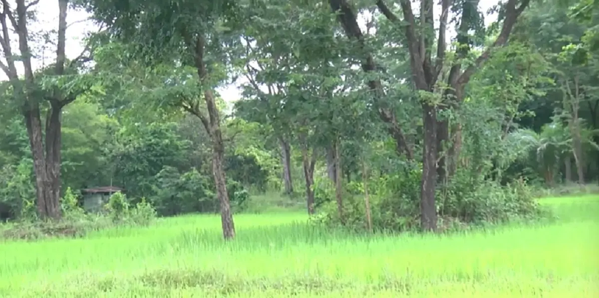 ชาวบ้านนะจังงัง พบสัตว์ปริศนา หลังเสือหลุด 6 เดือนยังจับไม่ได้
