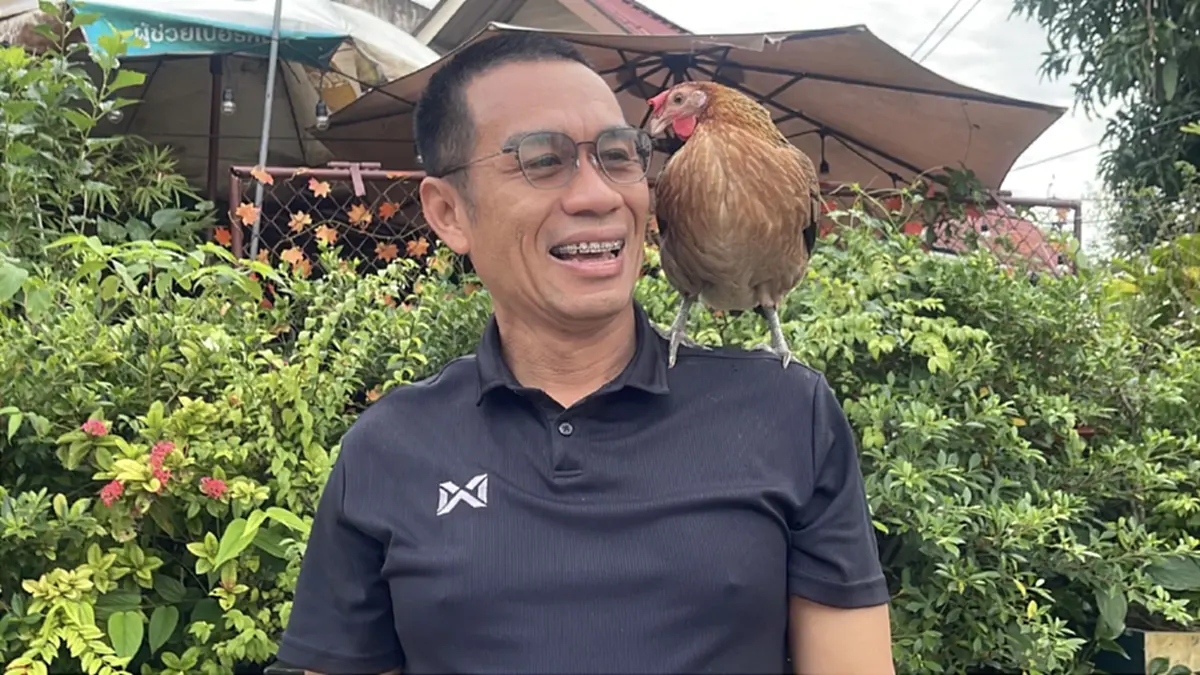 ไม่ธรรมดา! หนุ่มพาไก่ป่าเกาะไหล่ใส่บาตร เผยถึงจุดเริ่มต้น
