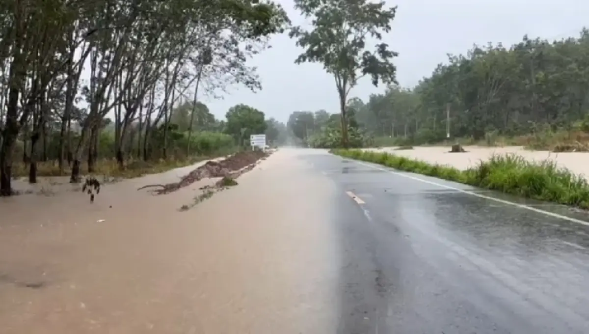 ด่วน! ฝนตกหนักน้ำป่าทะลักเขาชะเมา ท่วมบ้าน-สวนพังยับ!