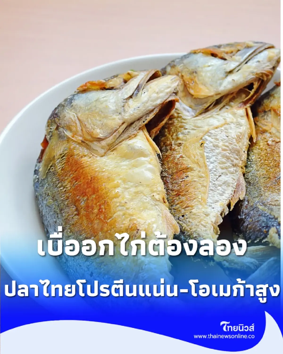 เบื่ออกไก่ต้องลอง เปิด 5 ปลาไทยโปรตีนแน่น-โอเมก้าสูง ดีไม่แพ้แซลมอนแต่ประหยัดกว่าเพียบ