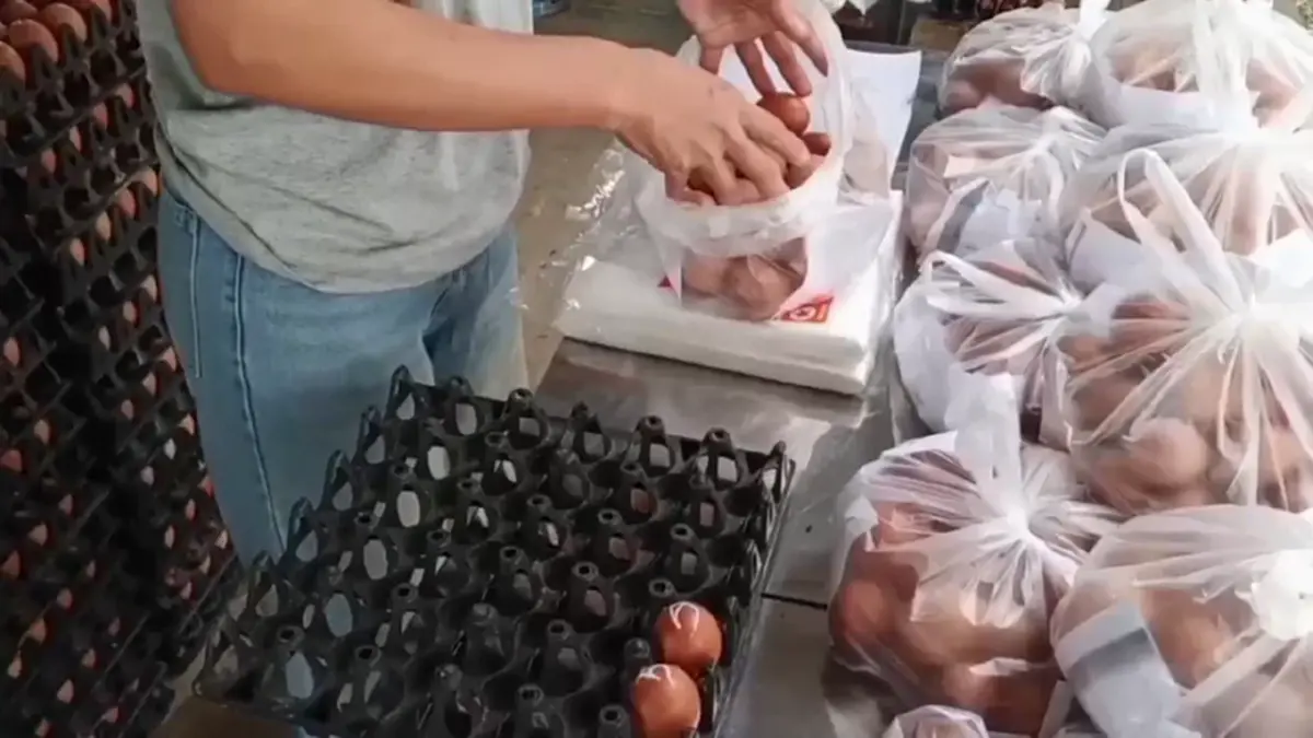 แม่ค้าใจดี! อุทัยธานีลดราคาไข่ไก่แผงละ 79 บาท ช่วยชาวบ้าน