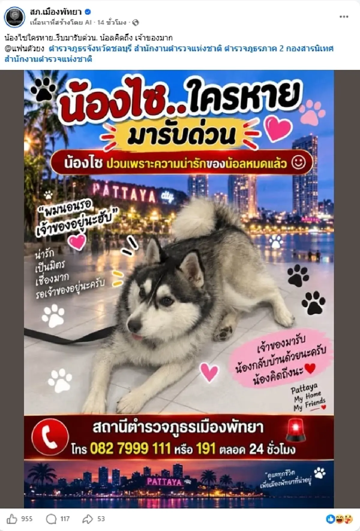 เจ้าของอยู่ไหน "ไซบีเรียน" บุกโรงพักพัทยา แห่แซวหวั่นรื้อโรงพัก