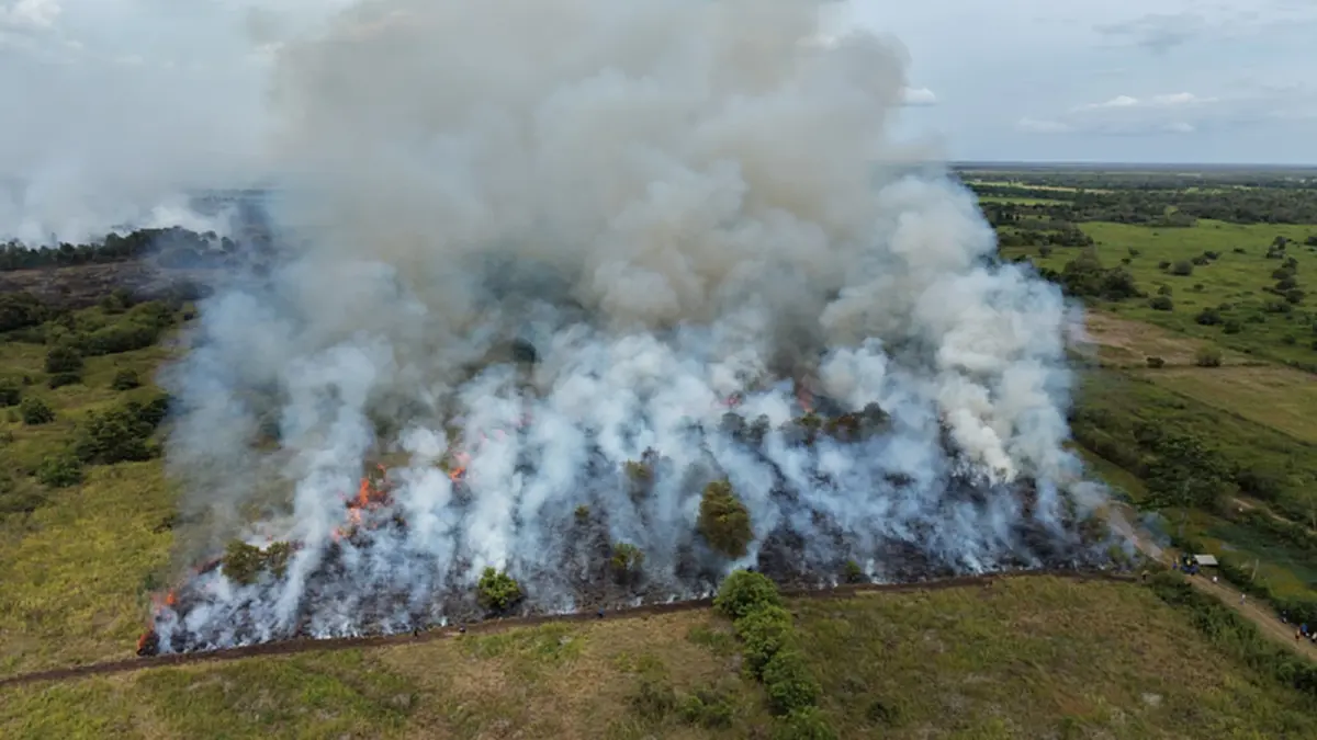 ไฟป่าพรุทะเลน้อยปะทุลามสวนปาล์มวอด 200 ไร่ เร่งสูบน้ำสู้