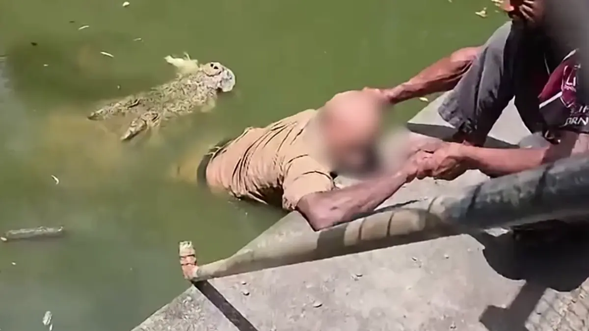 สลดกลางสวนสัตว์ปาปัวนิวกินี  จระเข้ขนาดใหญ่พุ่งจู่โจมขาผู้ดูแล