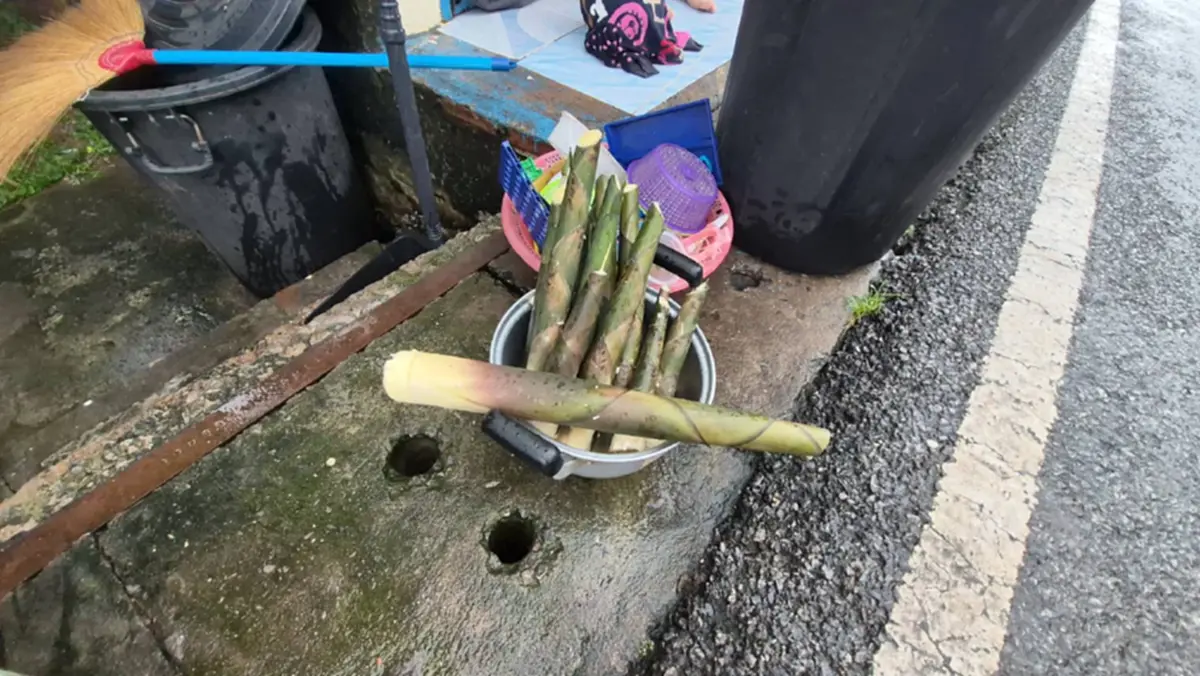 หนุ่มขายหน่อไม้โมโหชาวบ้านไม่ซื้อ ทุ่มทิ้งหน้าบ้าน