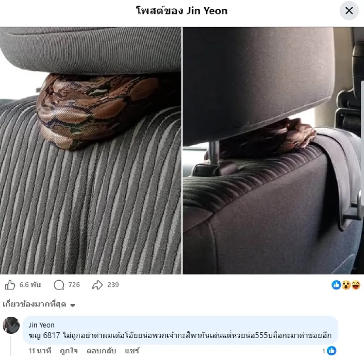 ขับมาครึ่งทางเพิ่งรู้ งูแอบพันเบาะ คนขับรู้งานเปิดทะเบียนให้ดู