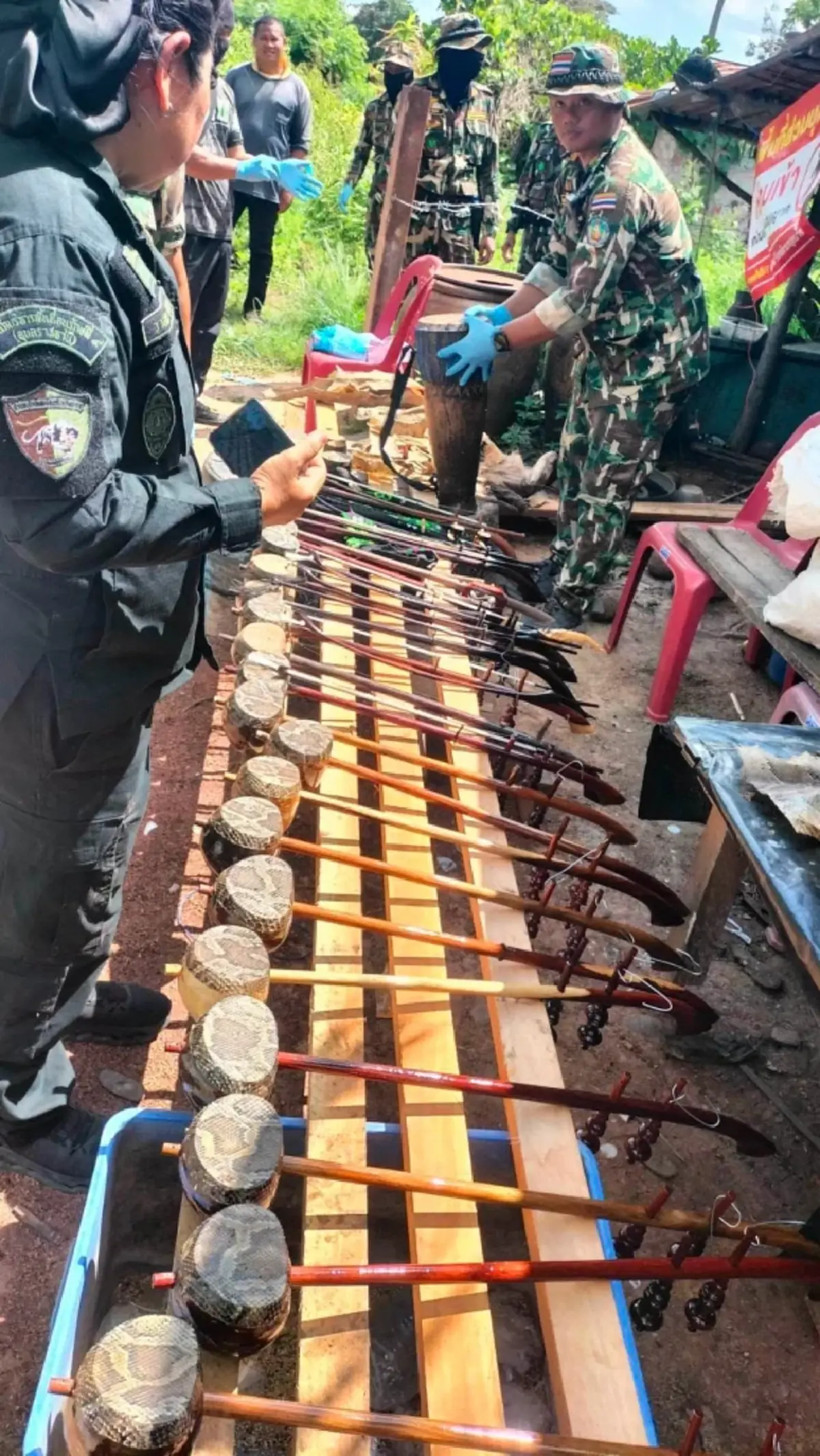 ดราม่ายึดซากสัตว์ป่า 84 รายการ ครูศิลปินเคลื่อนไหว รู้สึกเจ็บปวด