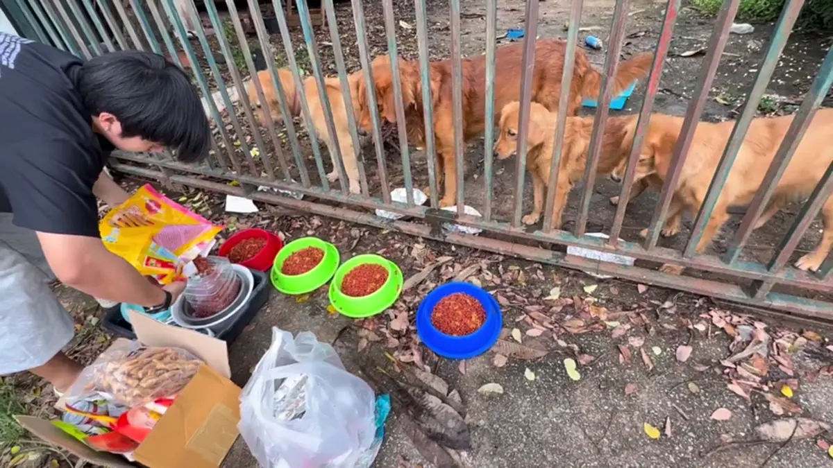 ที่มา/ภาพ Facebook : ส้ม ส้ม'มมม