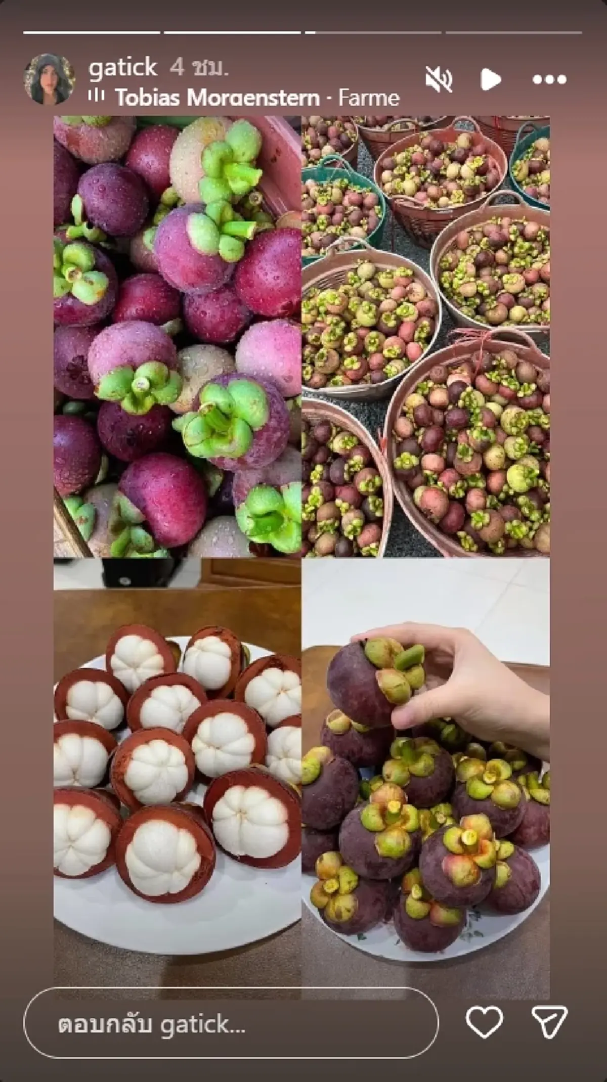 ส่องไอจี กระติก เคลื่อนไหว หลัง ขวัญ เตรียมเป็นพยานคดีแตงโม