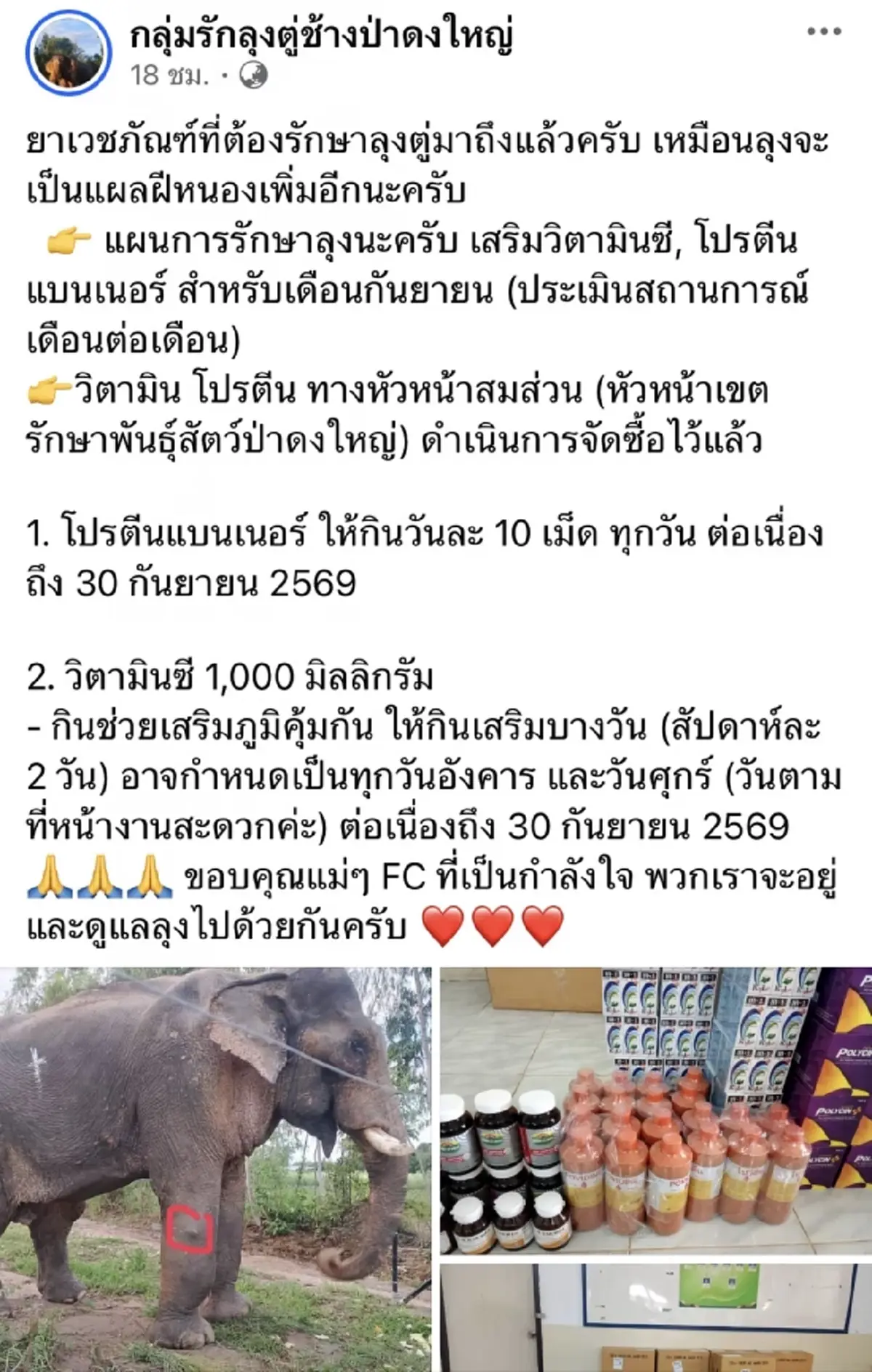 ล้อมรั้วไฟฟ้า 2 ไร่! รักษา "พลายลุงตู่" ช้างชราโดนทำร้าย