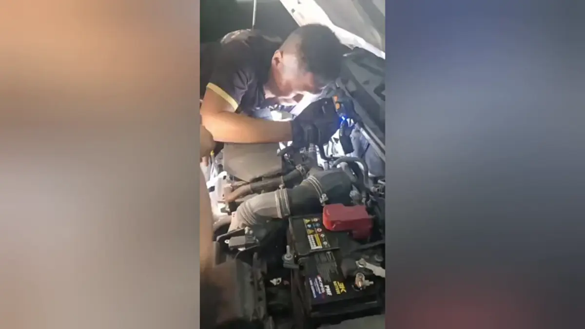 ทุกชีวิตมีความหมาย! กู้ภัยช่วยลูกแมวติดห้องเครื่องปลอดภัย