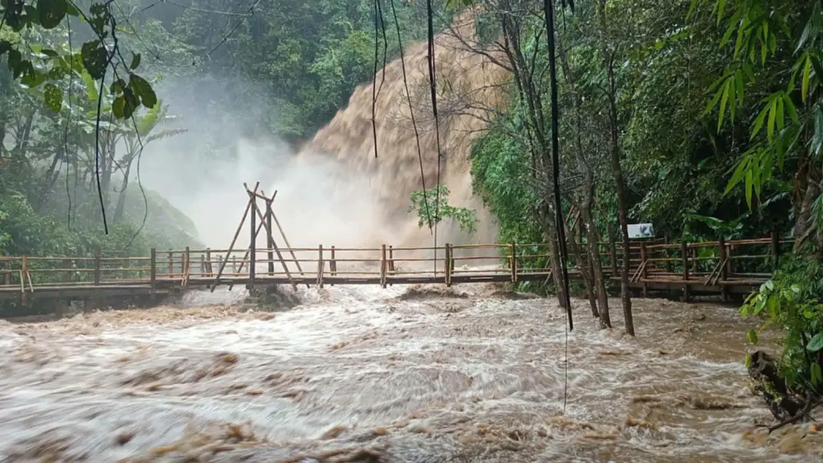 งดเข้าชมชั่วคราว เส้นทางศึกษาธรรมชาติ "ผาดอกเสี้ยว" หลังฝนตกหนักน้ำป่าทะลัก