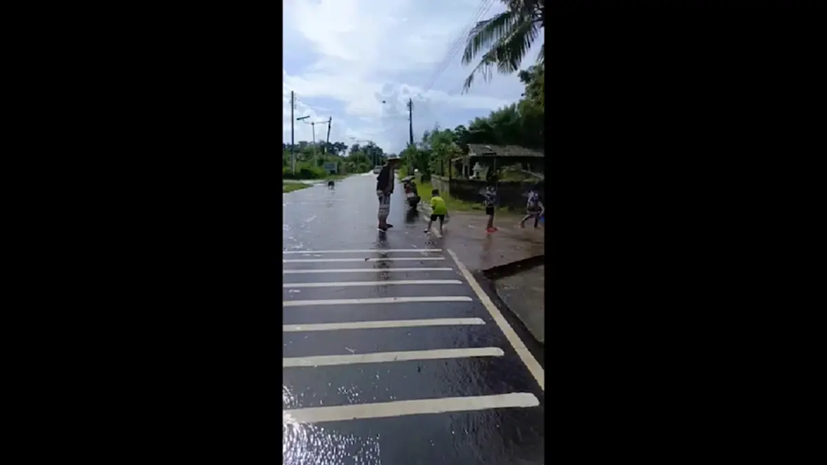 น้ำท่วมถนนสุรินทร์! ปลานับร้อยข้ามฝั่ง ชาวบ้านดักจับแบ่งกันกิน