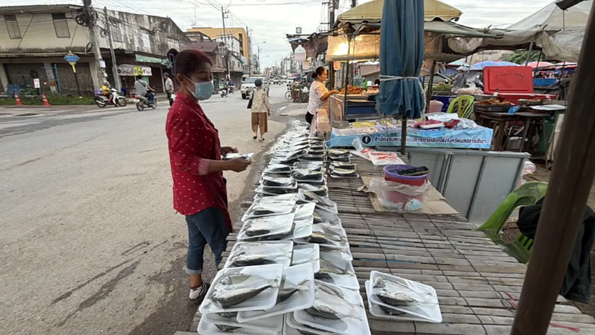 ปลาทูโคราชต้นทุนพุ่ง 3 เท่า! แม่ค้าแก้เกมลดปลาในเข่งตรึงราคา
