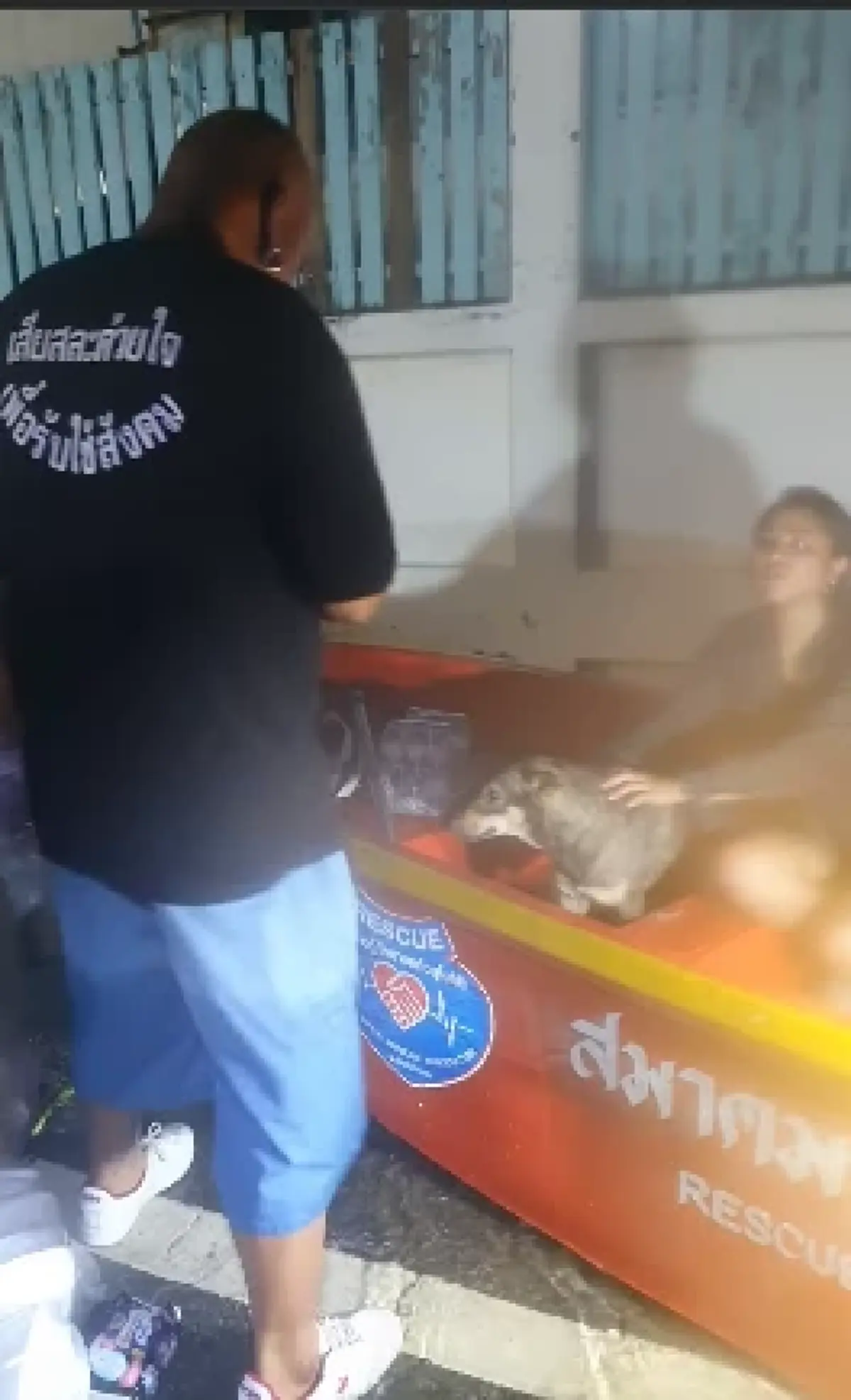 เปิดชะตากรรม "หมาจร" นอนหนาวบนโซฟา ล่าสุดเหมือนหนีเสือปะจระเข้