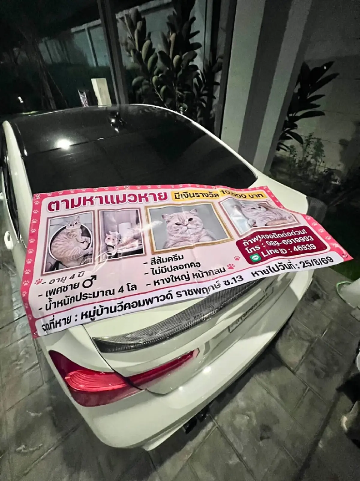 หัวอกแม่แทบสลาย! วอนช่วยตามหา "น้องชิโอะ" ป่วยโรคหัวใจหลุดหาย
