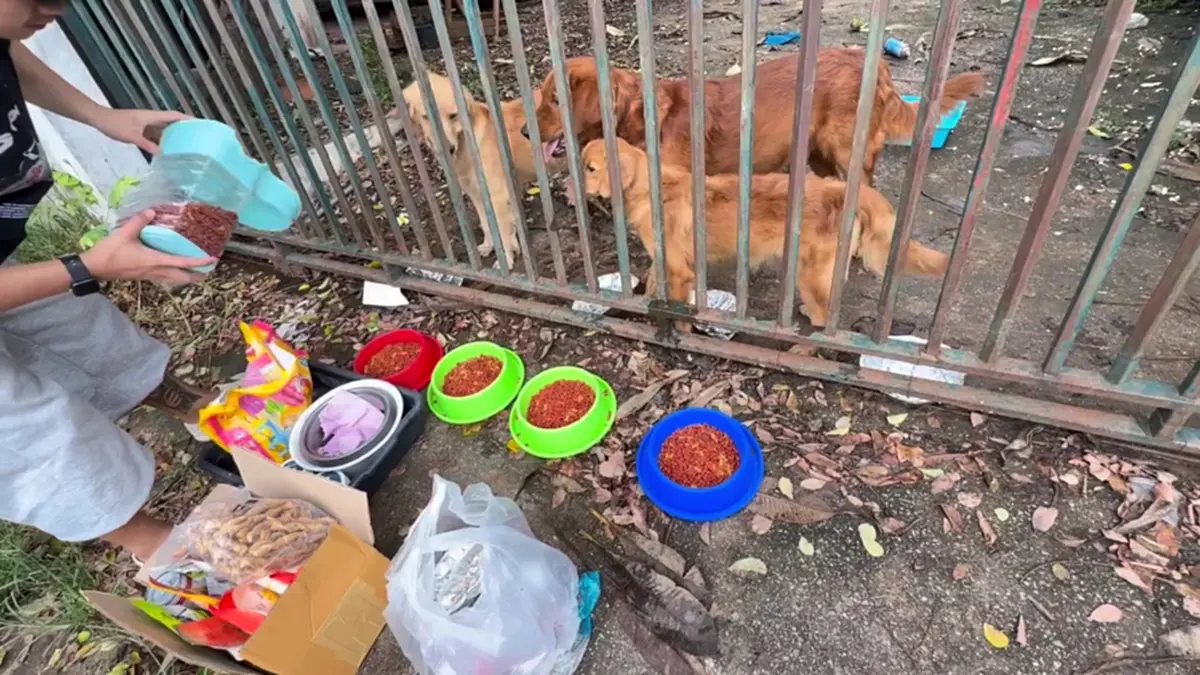 ที่มา/ภาพ Facebook : ส้ม ส้ม'มมม